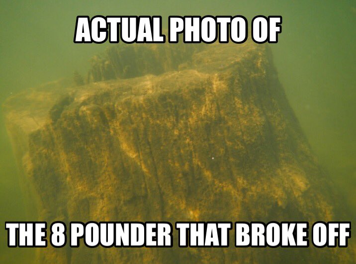 Fishin_Central tweet picture
