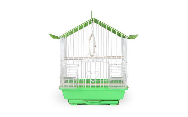 ELLIE GOULDING QUITS MUSIC TO FOLLOW HER DREAM. mute4883.wix.com/3884etum ~ #MUTE.