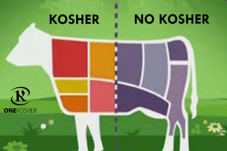ONEKOSHER1's tweet photo. ¿Qué es Nikur?
Toma nota en https://t.co/2ilmDncXXO #1Kosher #Halajot #Nikur https://t.co/vYQeOG1kSr