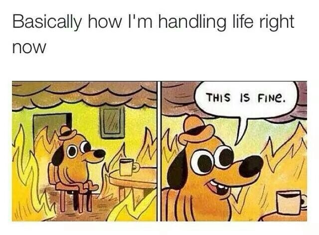 elana_ilott's tweet photo. Coming back from 5 days out of office like...
#emailsgalore #nonprofitlife #prhustle https://t.co/YF93yDGzcl