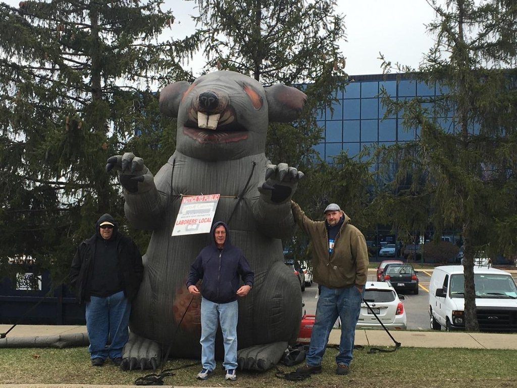 WhereIsScabby tweet picture
