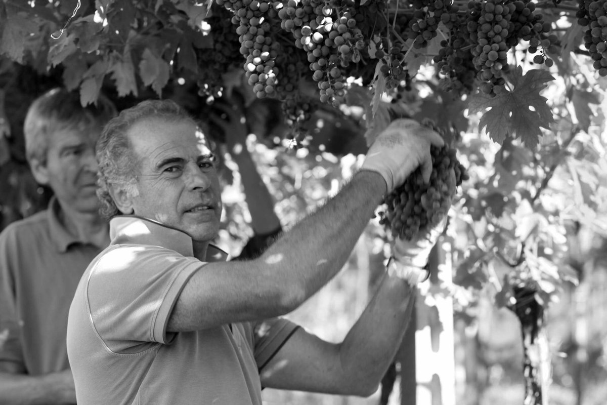 BenazzoliGiulia's tweet photo. Il mio papà, il mio regalo più grande #benazzolisisters #sognididonna https://t.co/u4iigs7Vw0