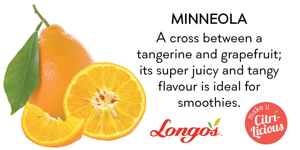 LongosMarkets's tweet photo. Citrilicious fact: #Minneolas have few to no seeds & are easy to peel making these 'honeybells' a kid-friendly snack https://t.co/7P9yCuqM3Z