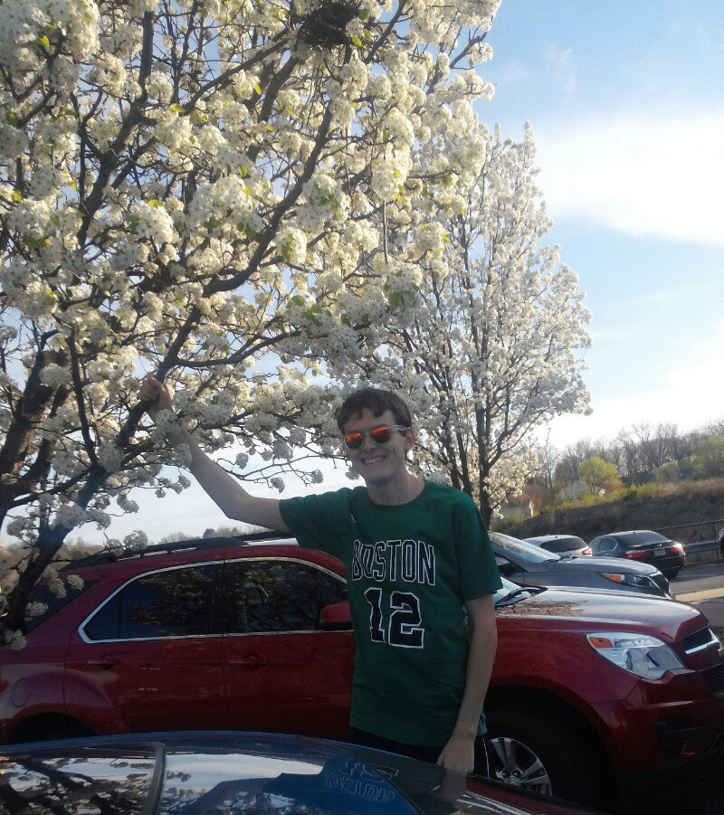 Was a pretty day yesterday & trees are starting to bloom. #springishere & I'm happy with it! #prettytrees #Celtics