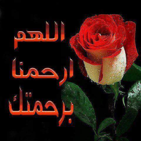 مصطفى فاروق (@mostafafarok08) on Twitter photo 