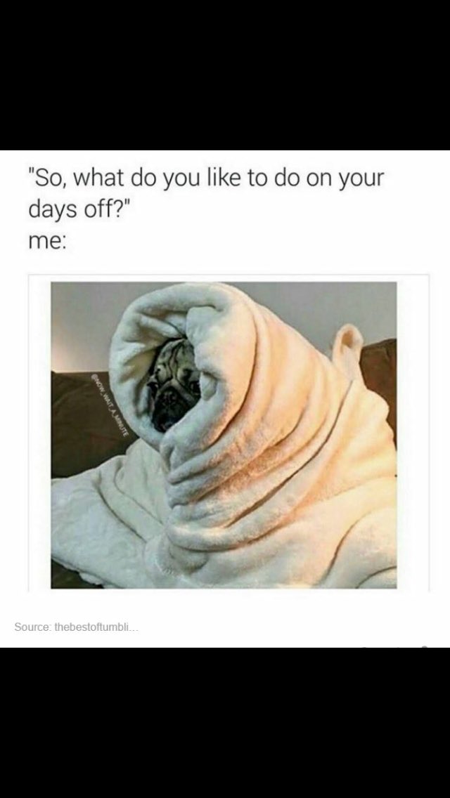 EmiilyBee's tweet photo. Pretty accurate https://t.co/J5ejmzfV1U