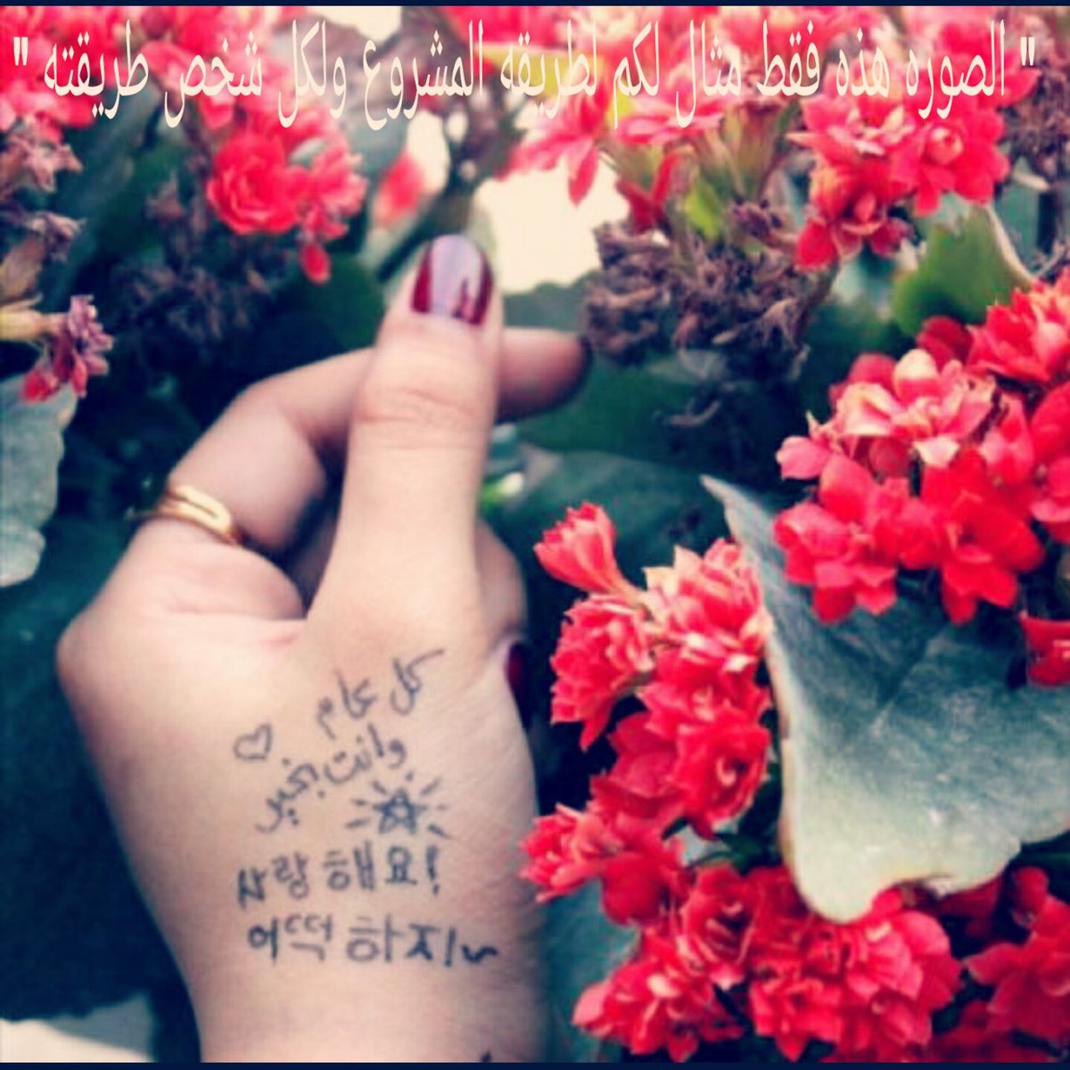ARAB_RealVIXX's tweet photo. "نتمنى من كل ستارلايتز 🌟 القراءة و المشاركه ↥ #المشروع_الرابع_العالمي_للستارلايت_العرب💕 ".
#VIXX #빅스 https://t.co/xYZ7VTxA92