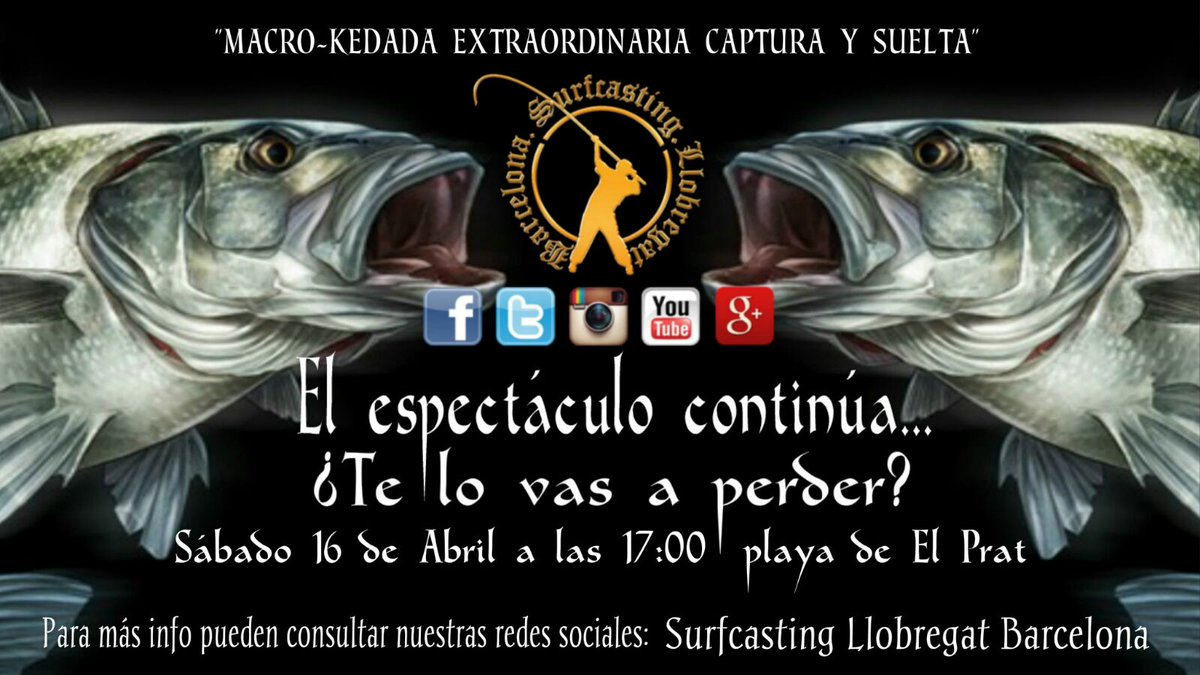 Surfcasting_Bcn's tweet photo. Quien se viene? @Adicsurfcasting @ElcerroVejer @pezcalo_es @lubinasbcn @LeaderPesca @DzaAmine @surfcasting_Esp https://t.co/wqivFZvMUp
