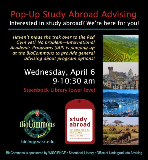 AskSteenbock's tweet photo. Be a traveling badger! Pop-up study abroad advising with @IAPstudyabroad at Steenbock #BioCommons 4/6/2016 https://t.co/Rfs91HS53o