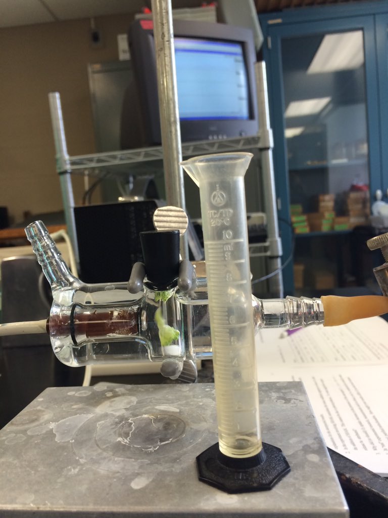 klin2162's tweet photo. The life of a science major! https://t.co/Mo2gtqGEwW