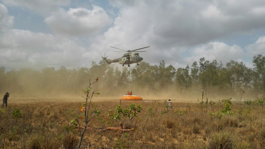Grupo Nº 10 (@gaoe10_amb) on Twitter photo Al NW de Puerto Ordaz población de coloradito <a href="/GAOE10_AMB/">Grupo Nº 10</a> apoyó en la extinción de incendio forestal. Al NW de Puerto Ordaz población de coloradito <a href="/GAOE10_AMB/">Grupo Nº 10</a> apoyó en la extinción de incendio forestal.