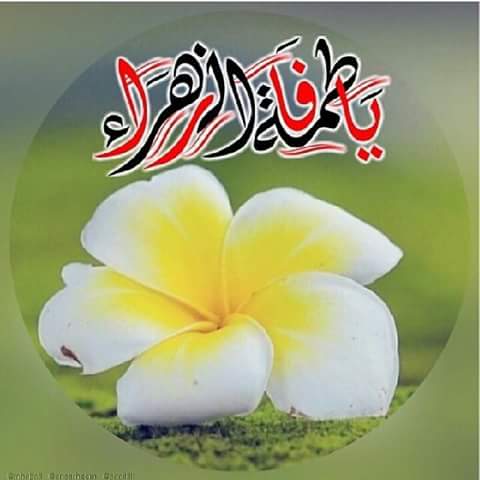 asdf333762's tweet photo. @AllraqYasmen @moosa8996 @EzzSussu @abdalh2128 @Kanz_Alkwfel188 @AhmdHamedkazm81 https://t.co/6zn8a1QG1s
