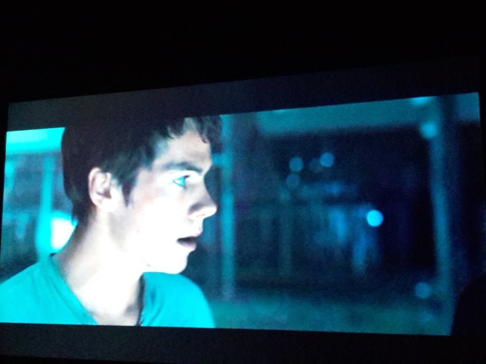galligan's tweet photo. #MazeRunner: la fuga. https://t.co/CXWjMf96tJ