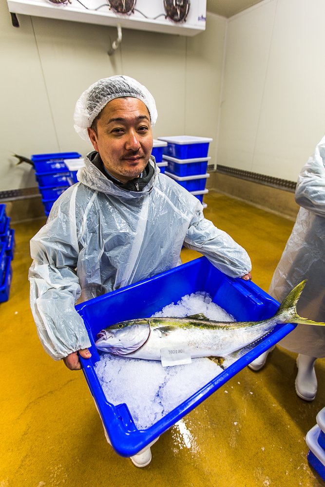LeighFishNZ's tweet photo. Thanks for visiting us and choosing your fish Endo San! #EndoKazutoshi @SKYCITYAkl @MasuRestaurant @nicwattchef https://t.co/8psqwxRB5w