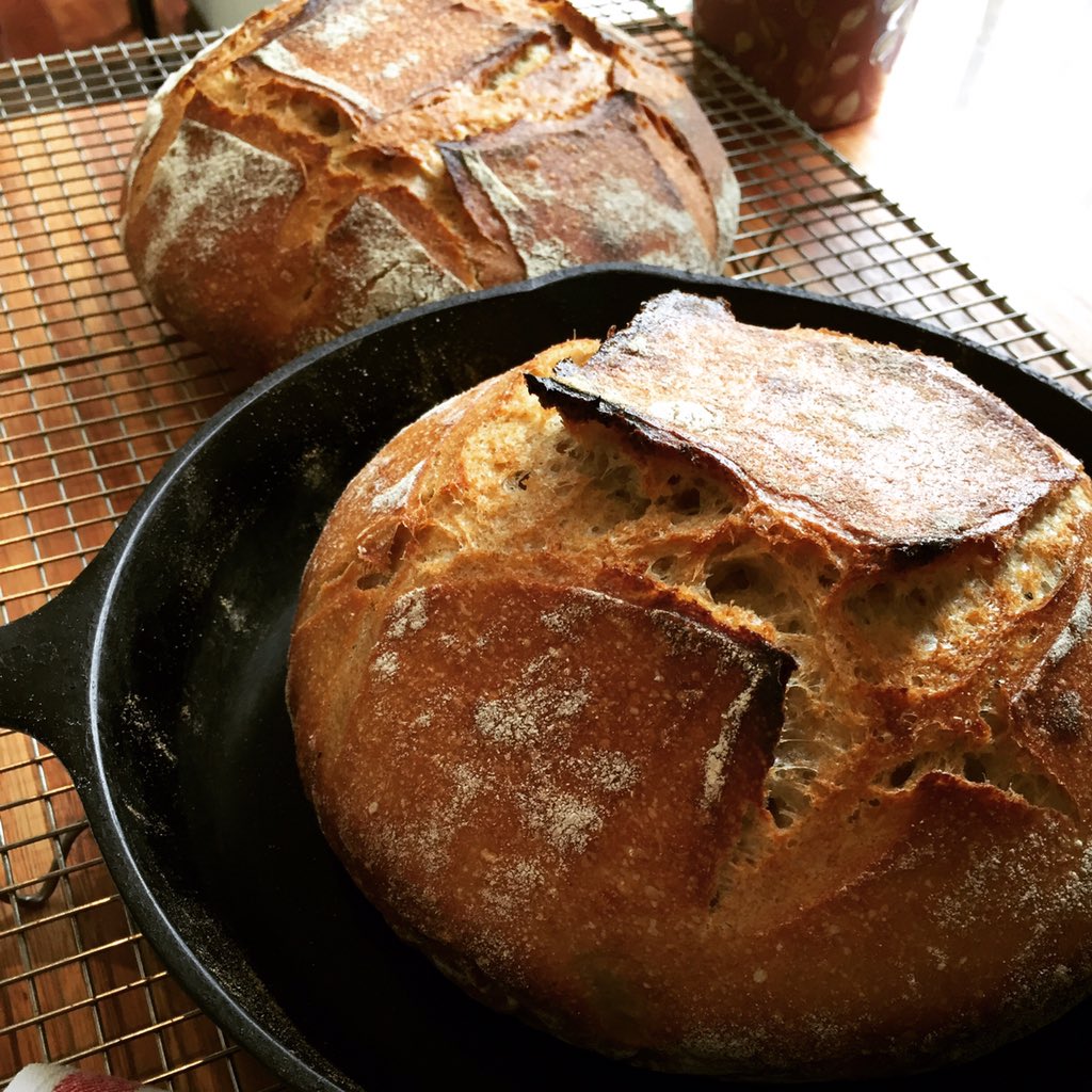 lapetitebette tweet media