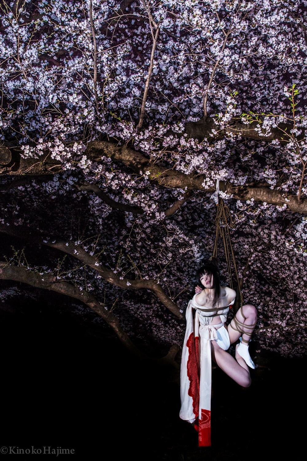Hajime Kinoko 春風の花を散らすと見る夢は 覚めても胸のさわぐなりけり 西行の句 風が花を散らす夢から覚めてもまだ心がざわざわと騒いでしまう 黒桜 Model Aikayoshioka Rope Photo Kinokohajime T Co Paathzdtnh Twitter