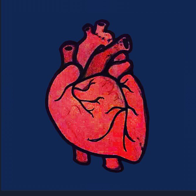 griffonwilde's tweet photo. Today's #DrawWithGriffon prompt is #anatomy! https://t.co/Iu8JloMS54