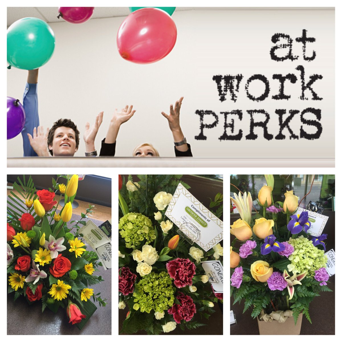 kisslethbridge's tweet image. Tomorrow's another #atworkperk day delivery. Nominate your place of work, and we could be coming to see you! #yql