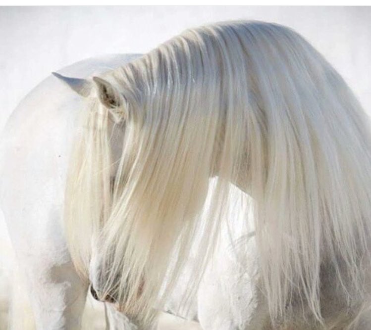 صبح و ما الأصباح منك بأجمل .!