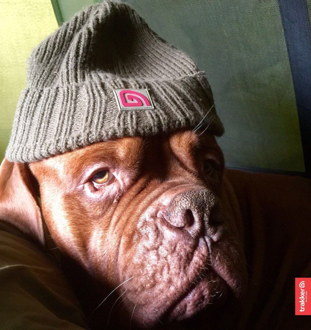 By George, it’s George! <a href="/JerryHammond_/">Jerry Hammond</a> #Trakker