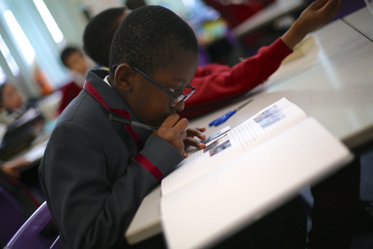 Ark Oval Primary tweet media