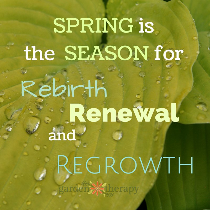 It's spring. What are you waiting for?