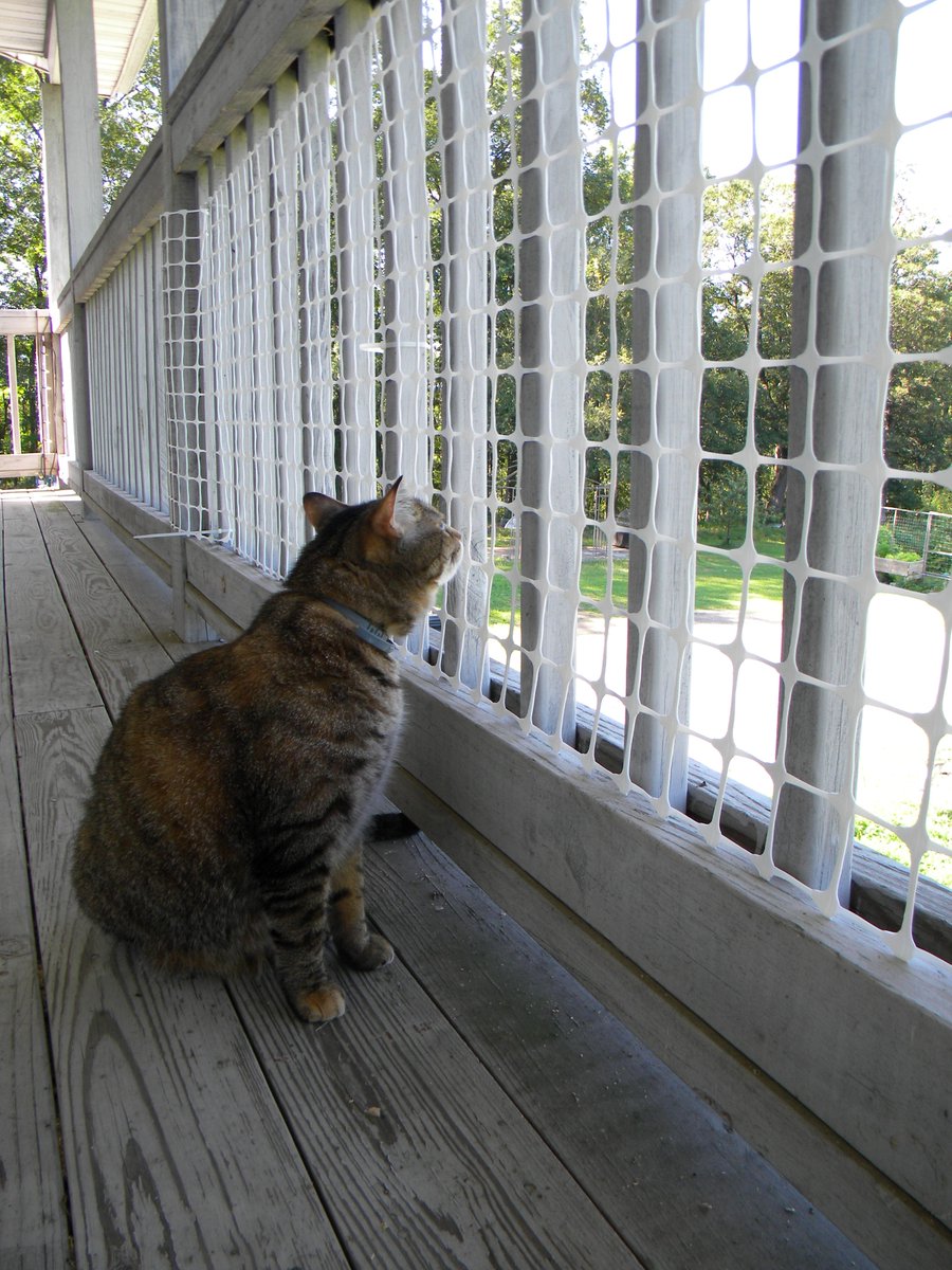 #springishere let your pets outside. check out our #nontoxic petline tenaxus.com/diy-pet-and-ga…