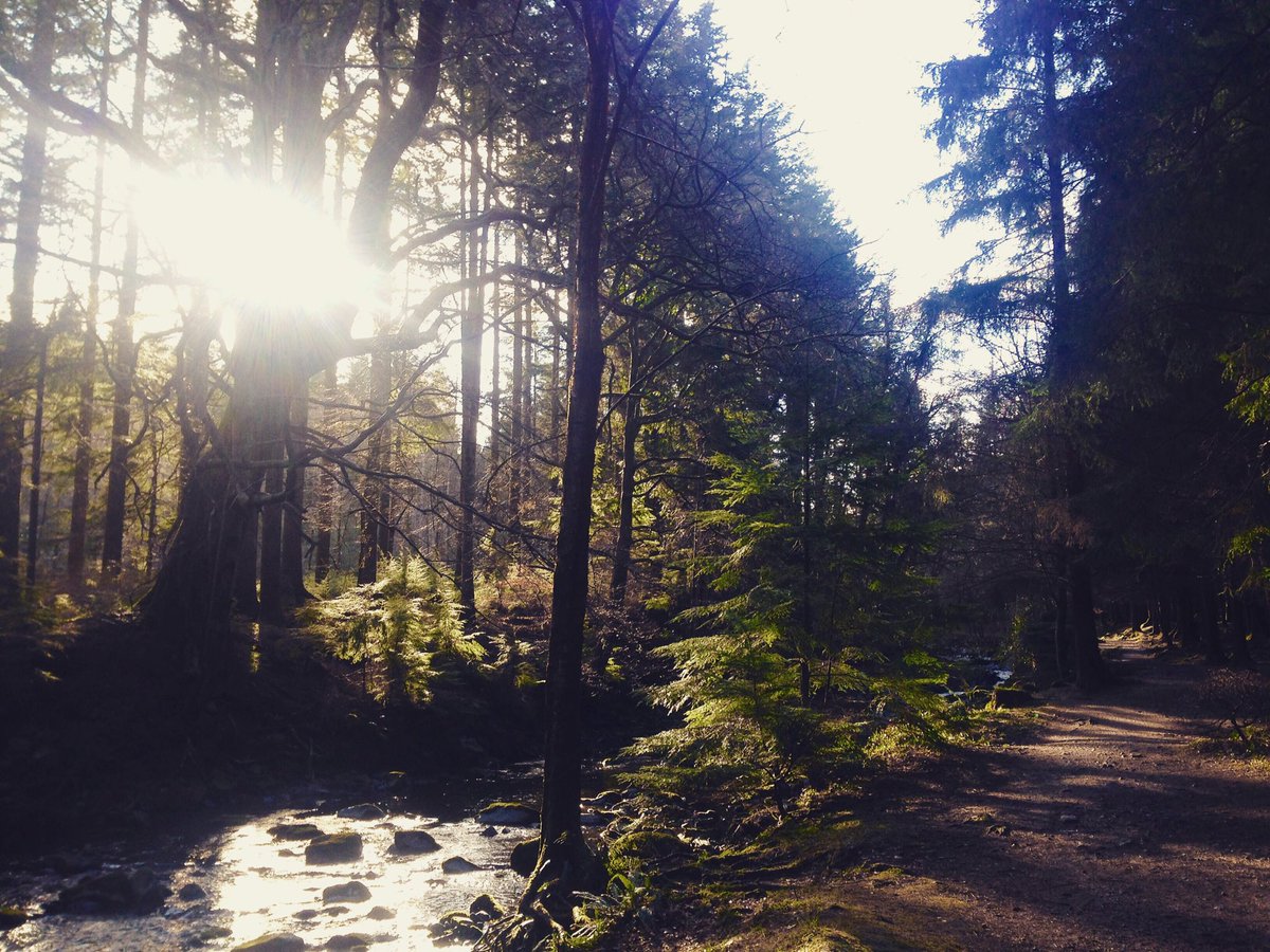 batladder's tweet photo. Tollymore Forest Park :) https://t.co/hn6mbY9z4Y