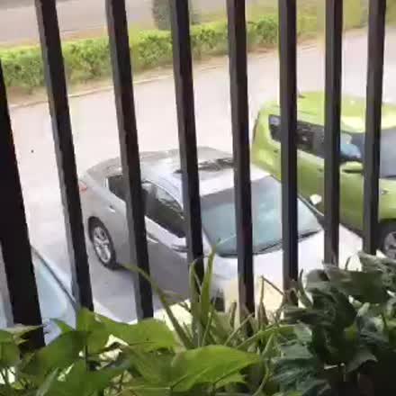 DamiettaB's tweet photo. |REPLAY| ✨Unafraid! Unapologetic!#Powerweek2016 #MTMPowerweek #Katchme #Periscope https://t.co/3J23PGp3rE https://t.co/nYMrM1Dg7d