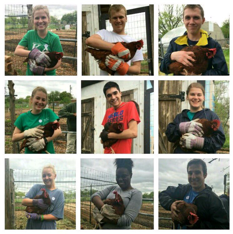 MAB_Dallas2's tweet photo. The squad's glamor shots with our new, feathery friend. 🐔 https://t.co/I3odNSGPKg