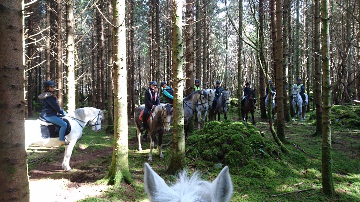 CEEscapes's tweet photo. #trailriders from #gernamy #Italy #USA #Ireland here this week on #connemara #ponies @Failte_Ireland @media_ireland https://t.co/nFGMioSqoU