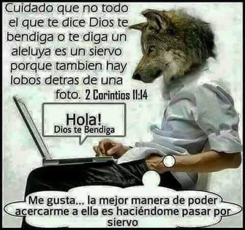 Lorena Salazar Twitterren Y No Es Maravilla Porque El