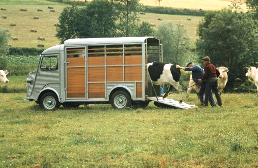 livestocktrucks's tweet photo. #ThrowbackThursday @CitroenUK @FrenchCarGeek #camionette #betaillere #formidable #carrosserie https://t.co/AlL85eXilq