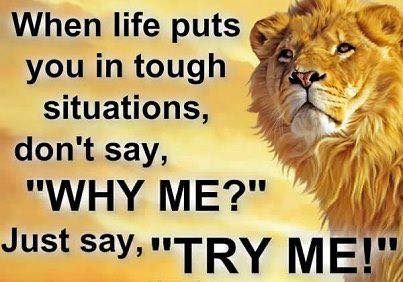 Debaawy's tweet photo. Try Me! ;)
#RT if you agree :)
#Know_Your_Self #entrepreneur #life #success #inspiration #challenge #Egypt #UAE #KSA https://t.co/GV2ItcHZ1H