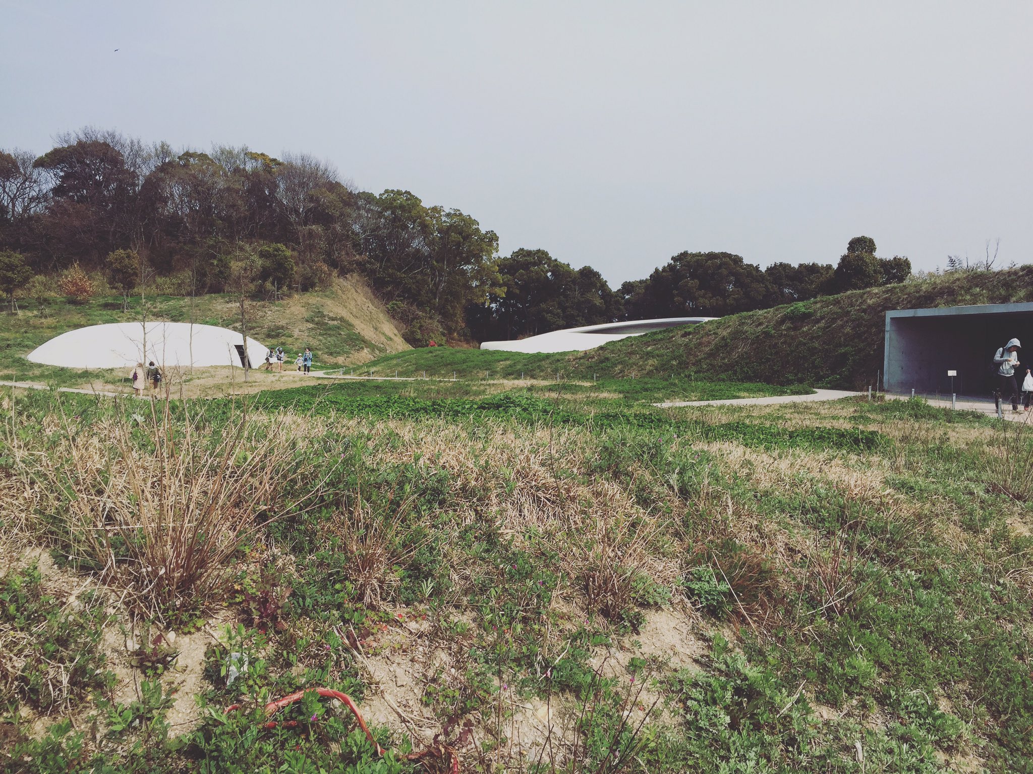 豊島美術館 公式カタログ