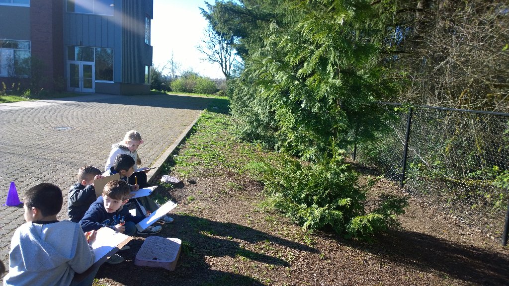 AgenoFirstGrade's tweet photo. We had to take advantage of this beautiful day! We are reading about the forest so they drew a plant at school. https://t.co/2wWghlDfkW