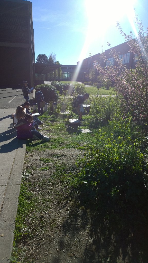 AgenoFirstGrade's tweet photo. We had to take advantage of this beautiful day! We are reading about the forest so they drew a plant at school. https://t.co/2wWghlDfkW