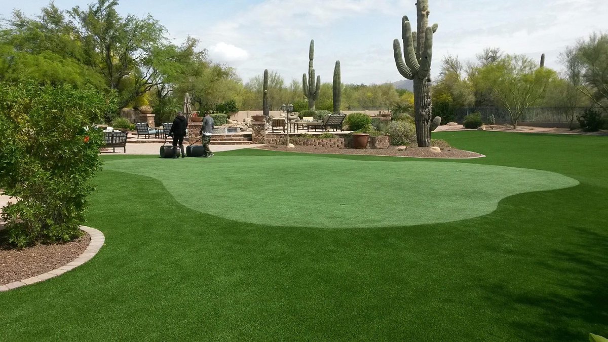 CelebrityGreens tweet picture