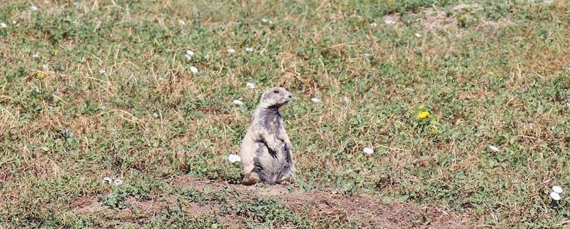 Foraker Labs tweet media