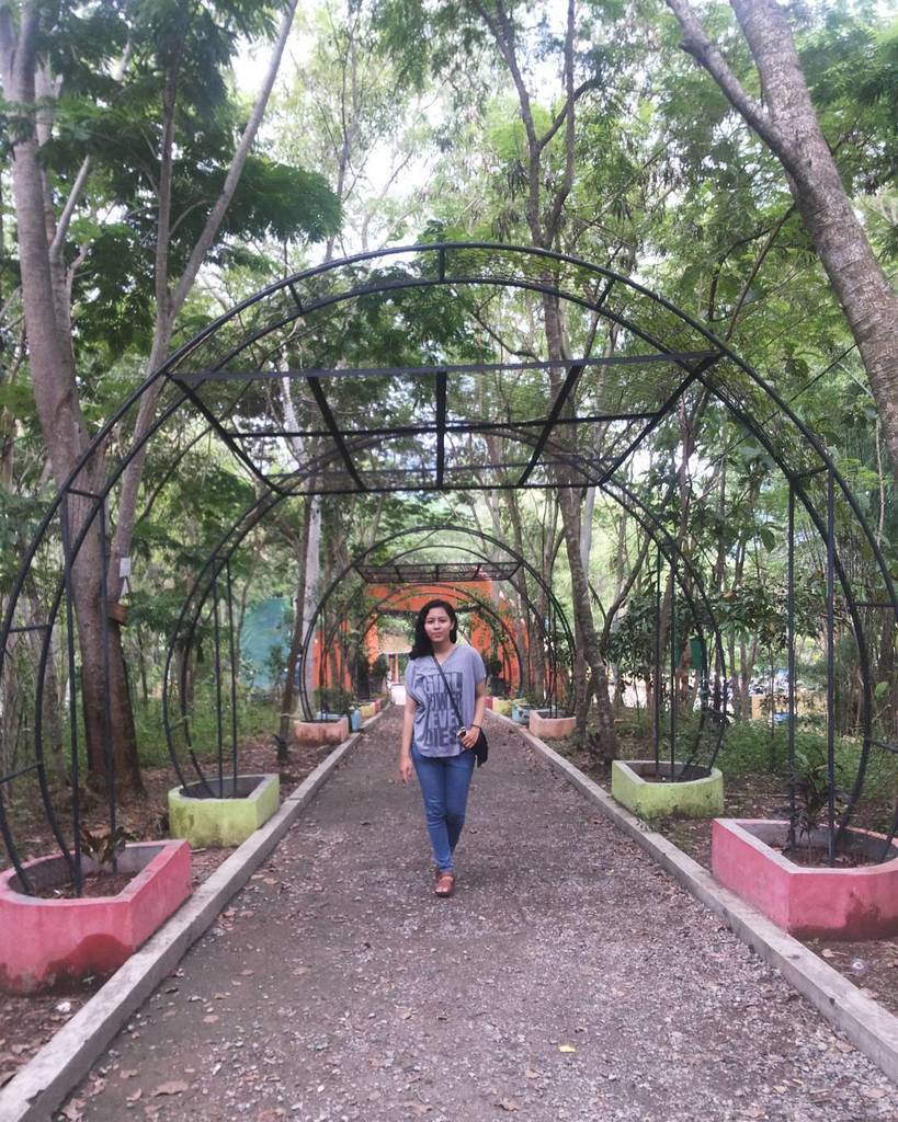 trenggalekview's tweet image. #trenggalek Setapak jalan Hutan Kota Trenggalek 🙆⭕⭕⭕
.
.
.
#exploretrenggalek #exploreeastjava #forest #ilovetrengg…