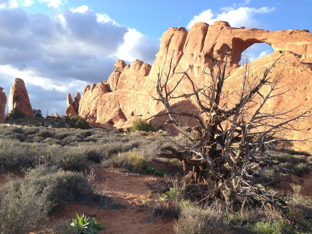 mrboult's tweet photo. Completed 35 miles cycling through Arches National Park today #AlwaysUpHill https://t.co/NP4ZHIsmQP