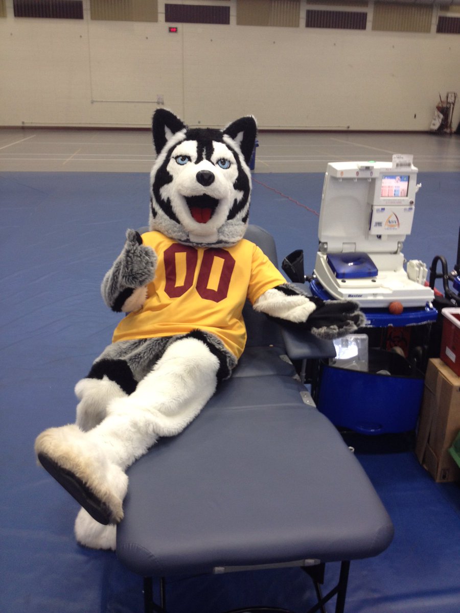 GoBUHuskies's tweet photo. #voteRoongo Let's vote Huskies nation! Every vote helps! https://t.co/cCa3ArguE7 https://t.co/vSX8G8FdR8