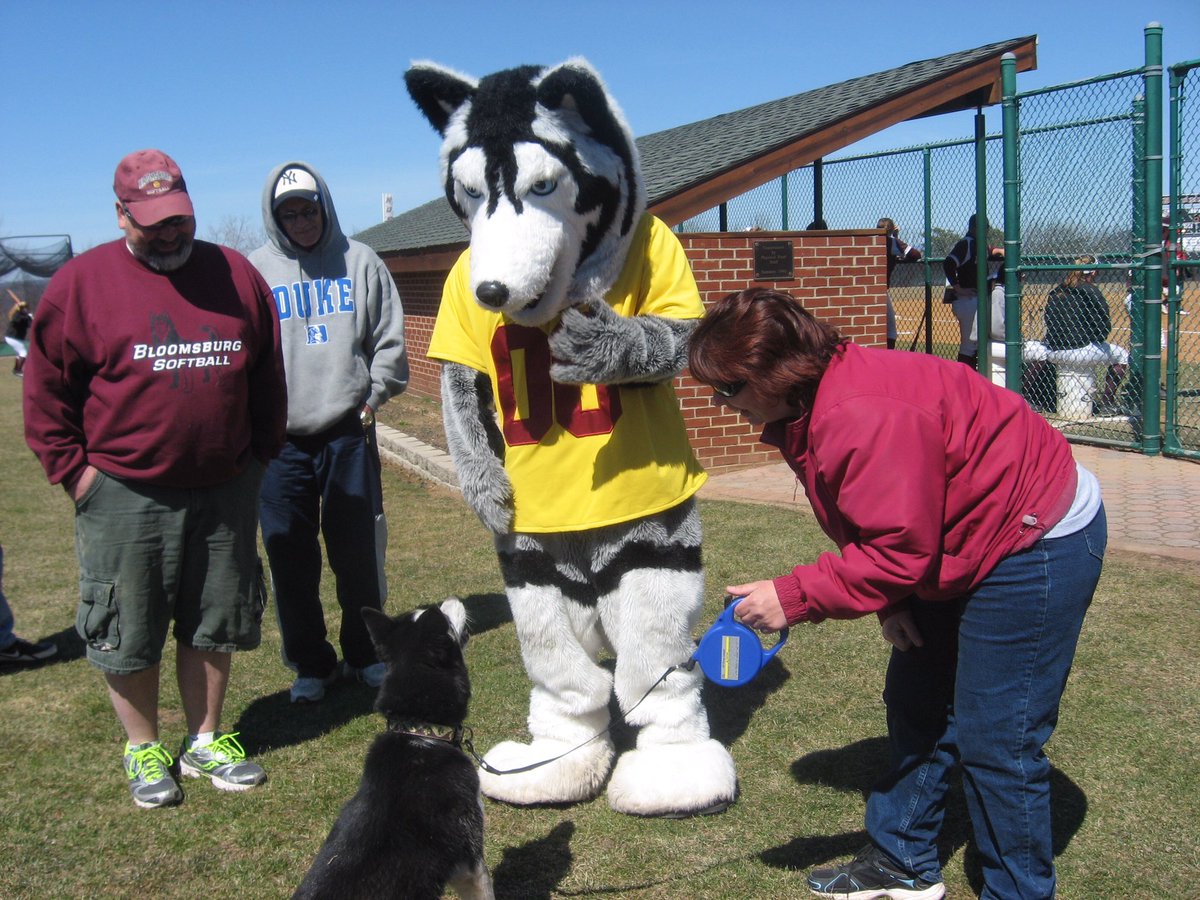 GoBUHuskies's tweet photo. #voteRoongo Let's vote Huskies nation! Every vote helps! https://t.co/cCa3ArguE7 https://t.co/vSX8G8FdR8