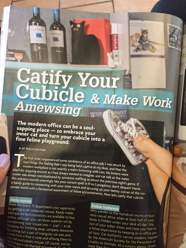 EmilyFlanigan's tweet photo. I read an article in "Catster" magazine that spoke to me 😻😹😻 #officelife #ilovecats https://t.co/sTLOBsikPR