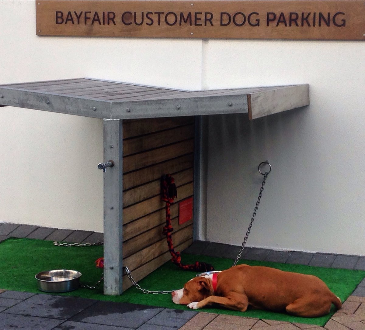 I love how they think of everything in the Bay <a href="/BayfairShopping/">Bayfair Shopping</a> @With @mrhurleynz