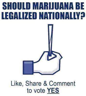 Monty patialvi (@montypatialvi) on Twitter photo 