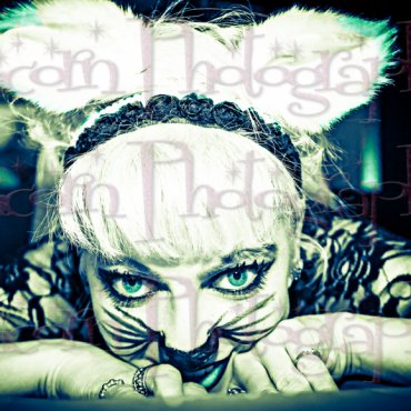 Rocka_Billy1's tweet photo. Kitty Kitty Blue Limited Edition by @Rocka_Billy1 https://t.co/TR8xQnI0LE @manyvids https://t.co/QjrodFFbv0