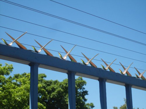 Ronanyuan's tweet photo. Wall Spike secure an effective wall ,help deter intruders #Wallspike #razor #security #Fencing https://t.co/oq69N3JrYz