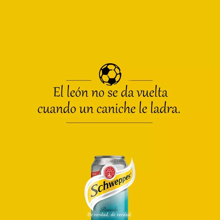 arisalina's tweet photo. Muy bueno https://t.co/CgrS7c0z97