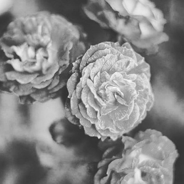 onlinenesss's tweet photo. #depressed #unhappy #lonely #alone #scared #scaredofmyself #suicide #suicidal #suicidalthoughts #depression #depres… https://t.co/npw5IVFpAS